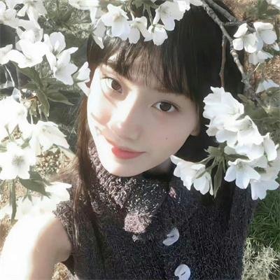 魔域女巫海报